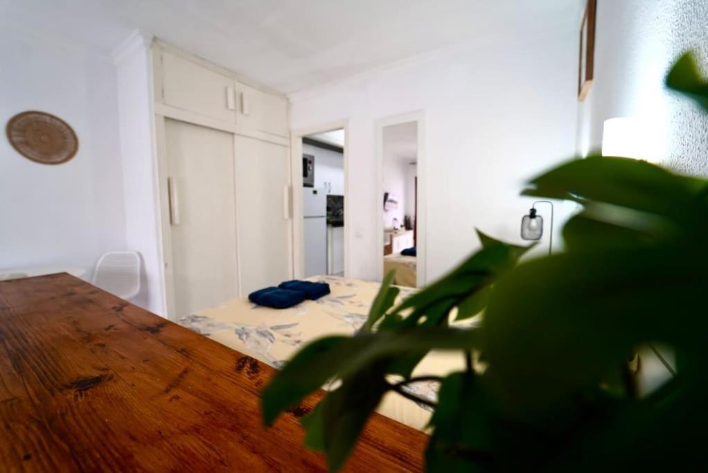 Apartament Danubio - Playa Del Ingles *